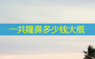 一共隆鼻多少钱大概
