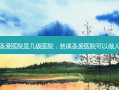 慈溪圣爱医院是几级医院，慈溪圣爱医院可以做人流吗