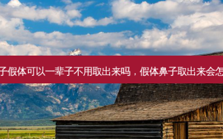 鼻子假体可以一辈子不用取出来吗，假体鼻子取出来会怎样