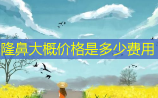 隆鼻大概价格是多少费用
