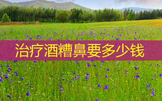 治疗酒糟鼻要多少钱