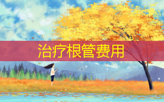 治疗根管费用
