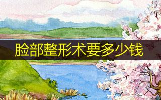 脸部整形术要多少钱