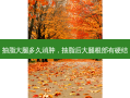 抽脂大腿多久消肿，抽脂后大腿根部有硬结
