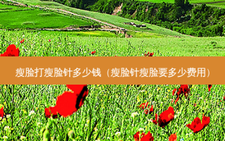 瘦脸打瘦脸针多少钱（瘦脸针瘦脸要多少费用）