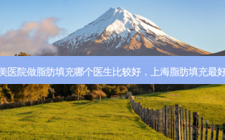 重庆华美医院做脂肪填充哪个医生比较好，上海脂肪填充 *** 的医生