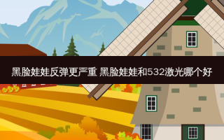 黑脸娃娃反弹更严重 黑脸娃娃和532激光哪个好