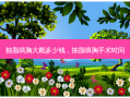抽脂填胸大概多少钱，抽脂填胸手术时间