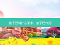 垫下巴叫什么手术，垫下巴作用