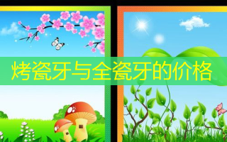 烤瓷牙与全瓷牙的价格