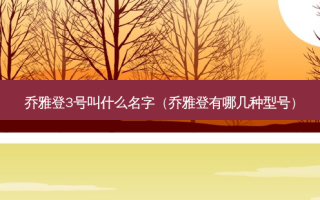 乔雅登3号叫什么名字（乔雅登有哪几种型号）