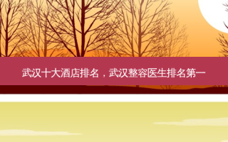 武汉十大酒店排名，武汉整容医生 *** 