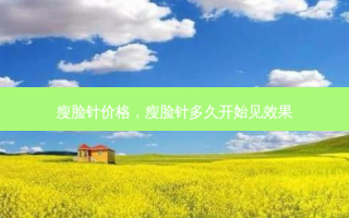 瘦脸针价格，瘦脸针多久开始见效果