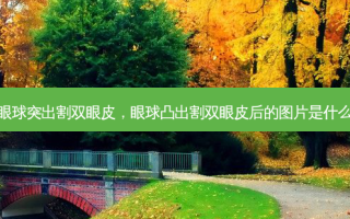 眼球突出割双眼皮，眼球凸出割双眼皮后的图片是什么