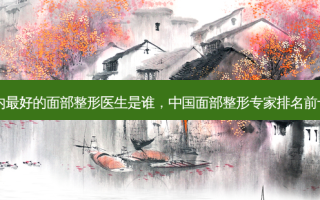 国内 *** 的面部整形医生是谁，中国面部整形专家排名前十名