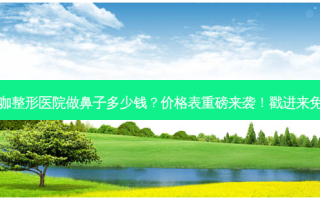 广州美咖整形医院做鼻子多少钱？价格表重磅来袭！戳进来免费get~