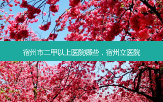 宿州市二甲以上医院哪些，宿州立医院