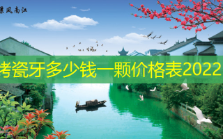烤瓷牙多少钱一颗价格表2022