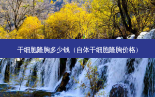 干细胞隆胸多少钱（自体干细胞隆胸价格）