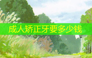 成人矫正牙要多少钱