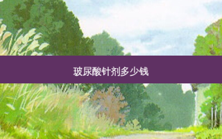 玻尿酸针剂多少钱