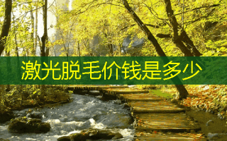 激光脱毛价钱是多少