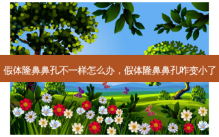 假体隆鼻鼻孔不一样怎么办，假体隆鼻鼻孔咋变小了