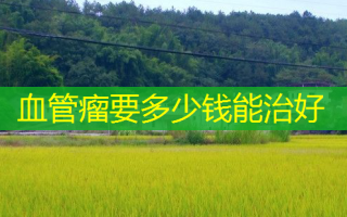 血管瘤要多少钱能治好