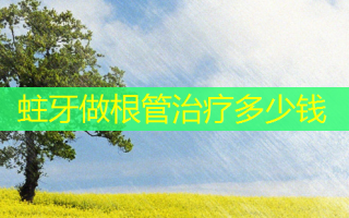 蛀牙做根管治疗多少钱