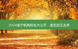 2024咸宁机构排名大公开，速览前五名单