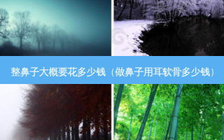 整鼻子大概要花多少钱（做鼻子用耳软骨多少钱）