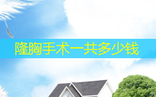隆胸手术一共多少钱