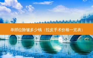 单部位除皱多少钱（拉皮手术价格一览表）
