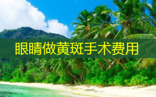 眼睛做黄斑手术费用