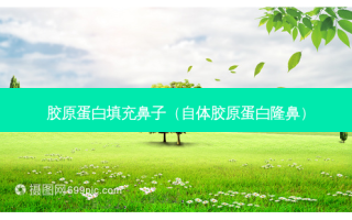 胶原蛋白填充鼻子（自体胶原蛋白隆鼻）