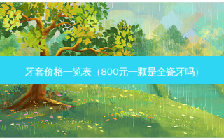 牙套价格一览表（800元一颗是全瓷牙吗）