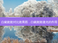 白瓷娃娃对比效果图，白瓷娃娃激光的作用
