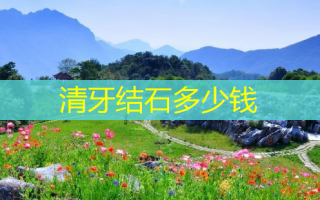 清牙结石多少钱