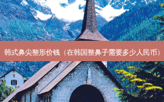 韩式鼻尖整形价钱（在韩国整鼻子需要多少人民币）