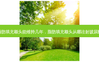 脂肪填充额头能维持几年，脂肪填充额头从哪注射玻尿酸