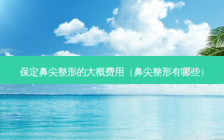 保定鼻尖整形的大概费用（鼻尖整形有哪些）