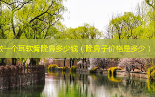 做一个耳软骨隆鼻多少钱（隆鼻子价格是多少）
