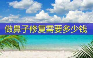 做鼻子修复需要多少钱