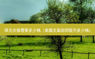 填充全脸需要多少钱（童颜支架面部提升多少钱）