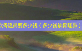 软骨隆鼻要多少钱（多少钱软骨隆鼻）
