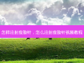 怎样注射瘦脸针，怎么注射瘦脸针视频教程