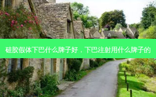 硅胶假体下巴什么牌子好，下巴注射用什么牌子的