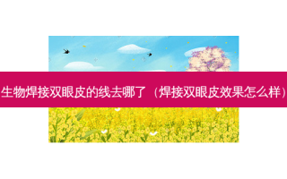 生物焊接双眼皮的线去哪了（焊接双眼皮效果怎么样）
