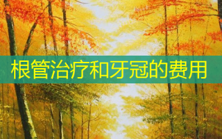 根管治疗和牙冠的费用