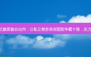 文山壮族苗族自治州：公私立整形美容医院争霸十强，实力你看!